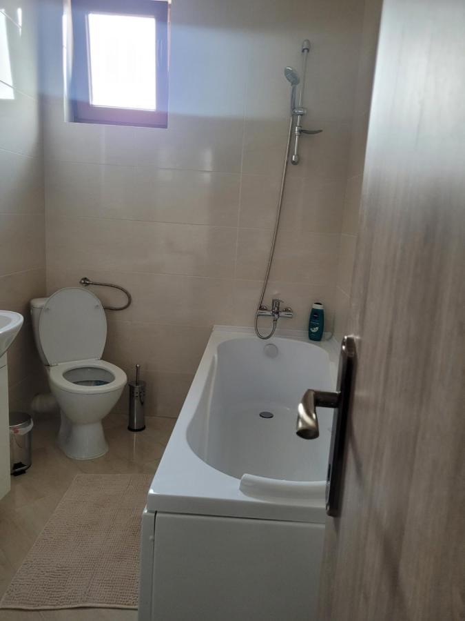 Amparo Apartment Satu Mare Bagian luar foto