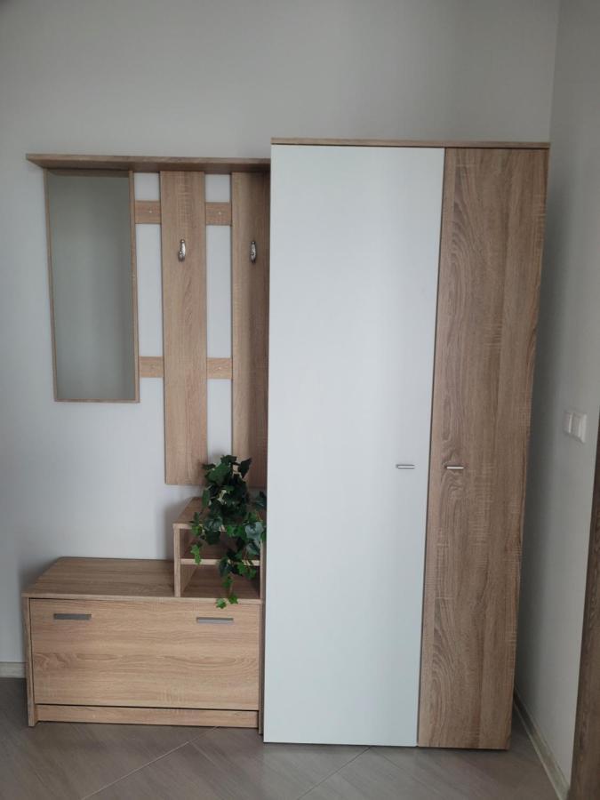 Amparo Apartment Satu Mare Bagian luar foto