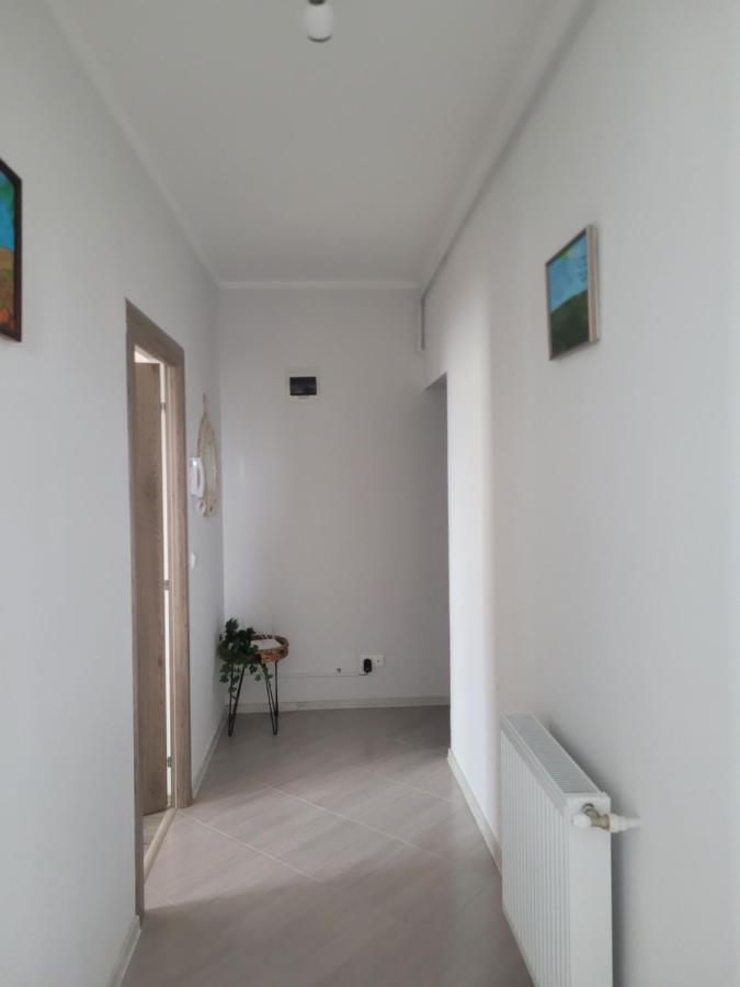Amparo Apartment Satu Mare Bagian luar foto