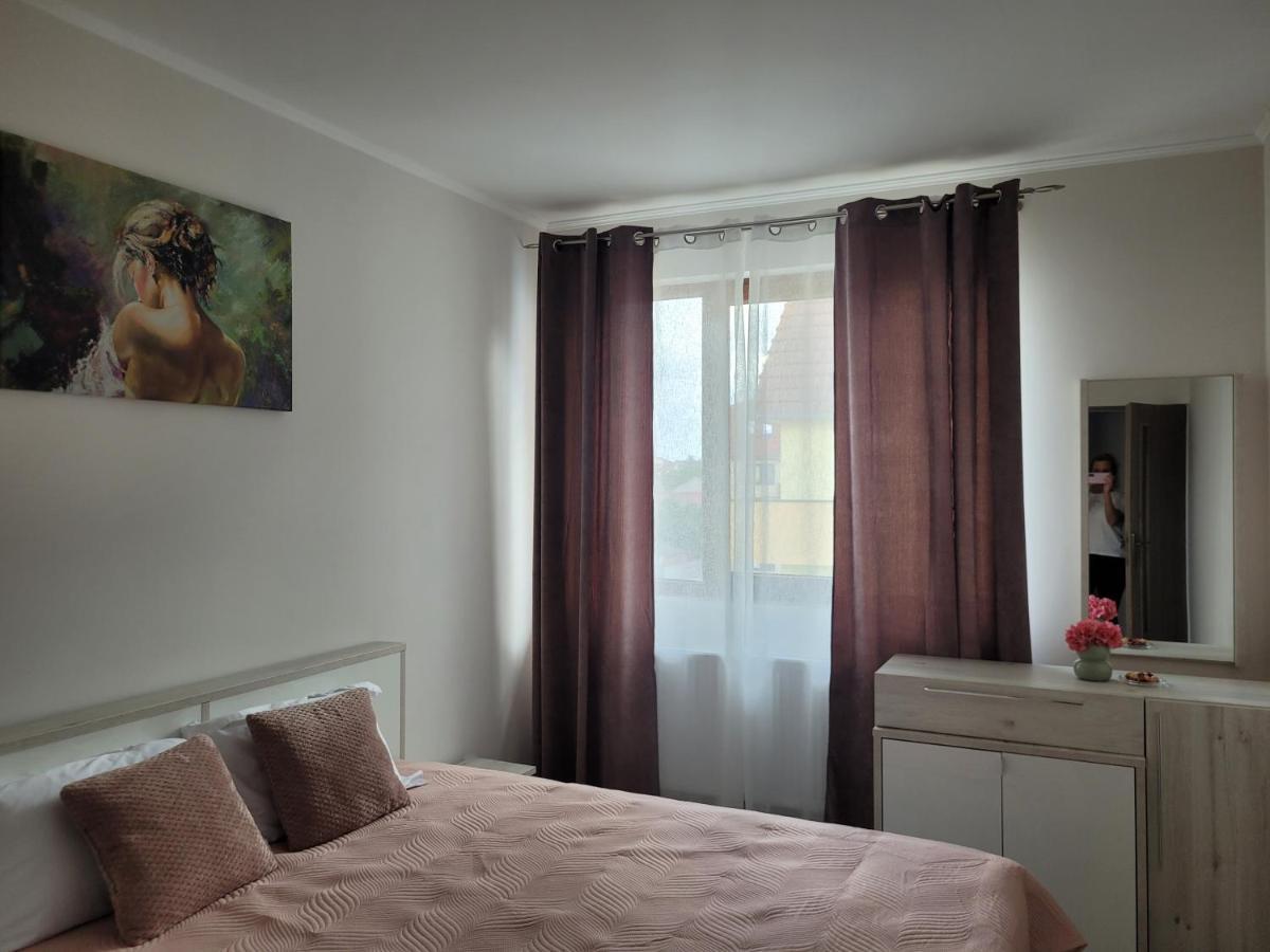 Amparo Apartment Satu Mare Bagian luar foto