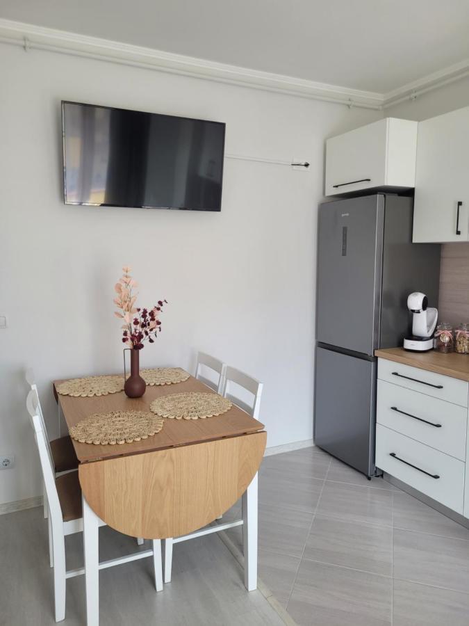 Amparo Apartment Satu Mare Bagian luar foto
