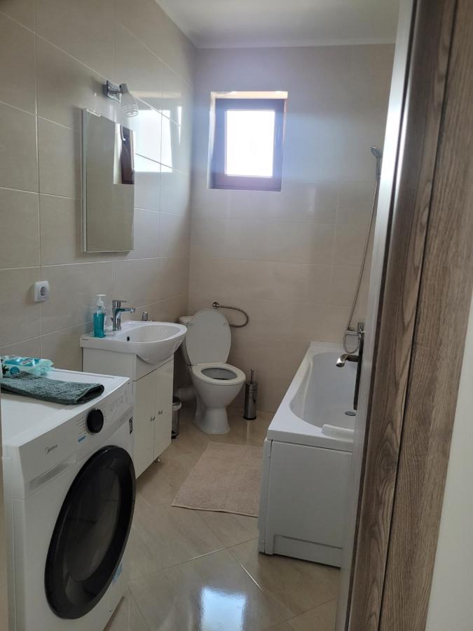 Amparo Apartment Satu Mare Bagian luar foto