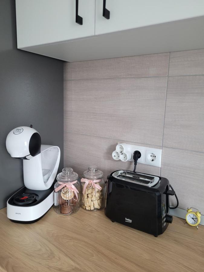Amparo Apartment Satu Mare Bagian luar foto