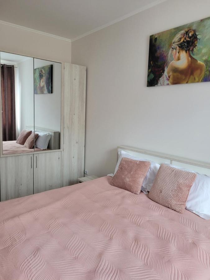 Amparo Apartment Satu Mare Bagian luar foto