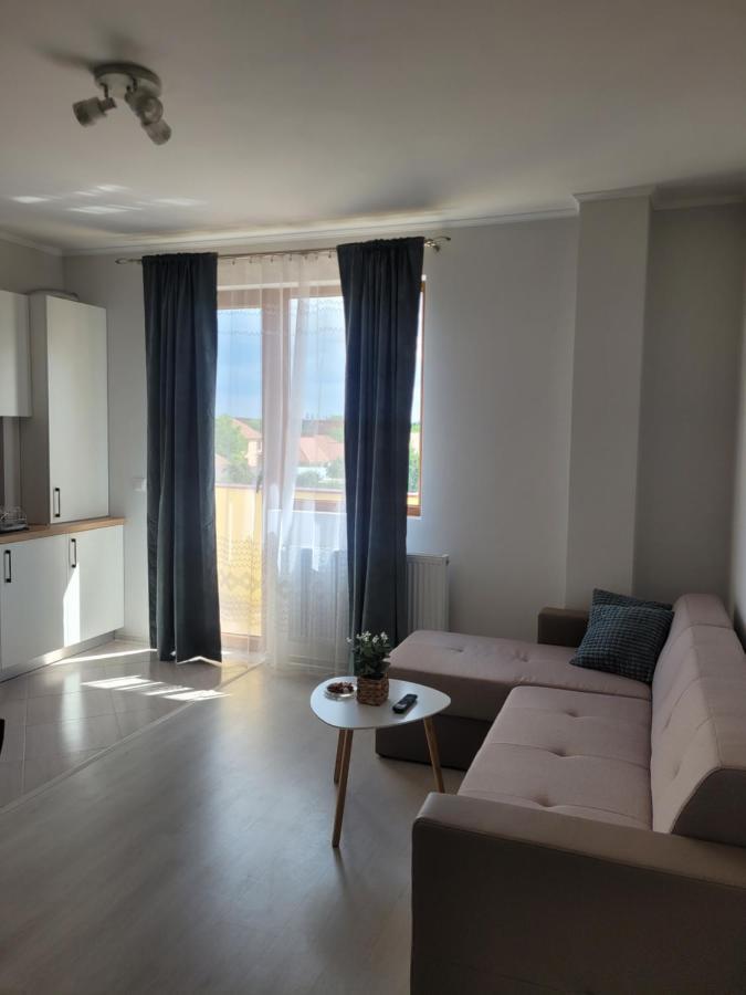 Amparo Apartment Satu Mare Bagian luar foto
