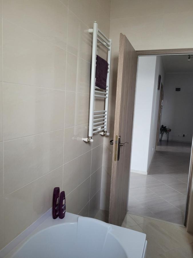 Amparo Apartment Satu Mare Bagian luar foto