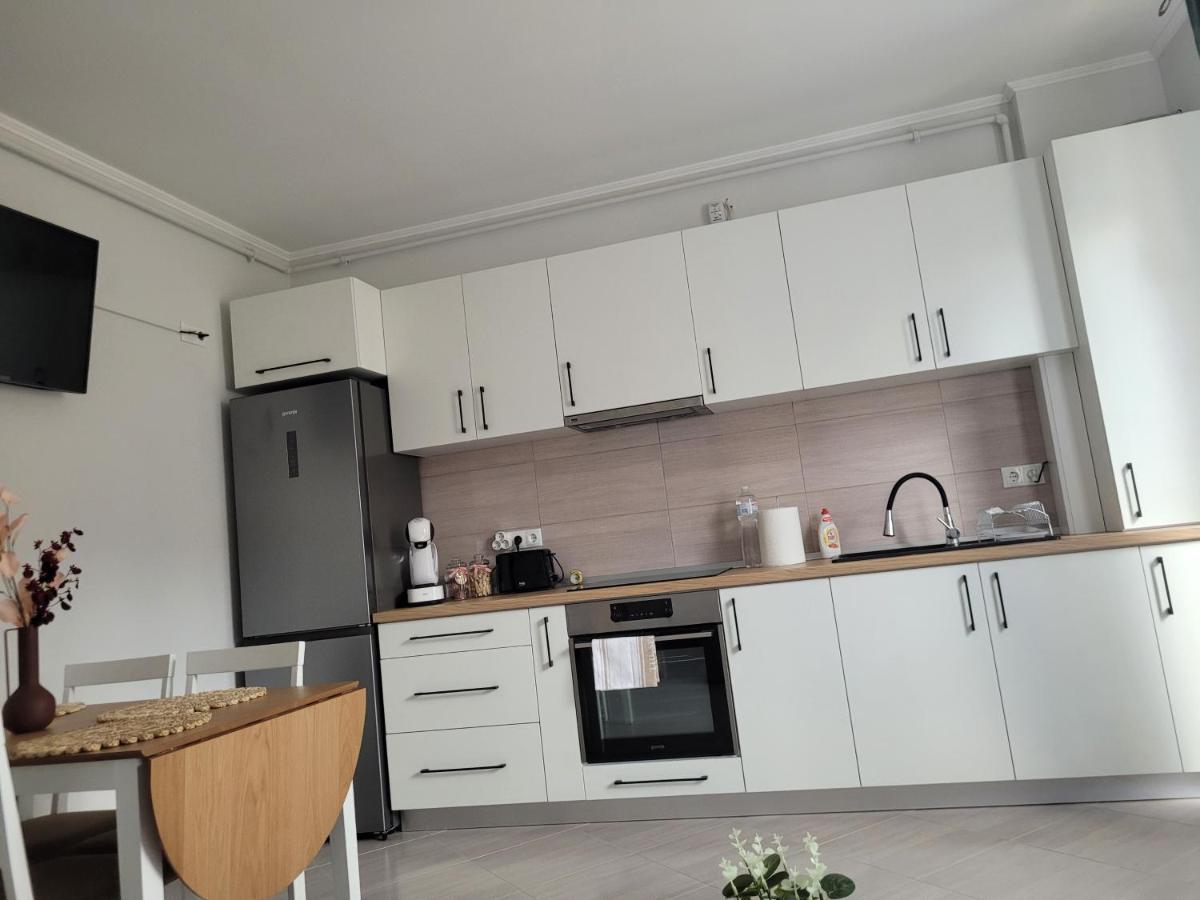 Amparo Apartment Satu Mare Bagian luar foto