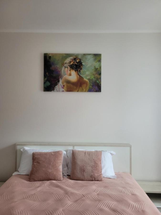 Amparo Apartment Satu Mare Bagian luar foto